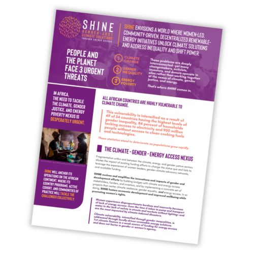 SHINE Overview